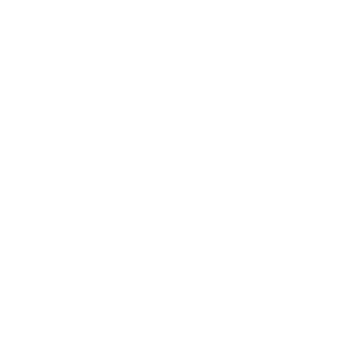 Passata logo